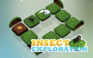 Insect Exploration