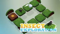 Insect Exploration