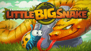 LittleBigSnake.io