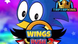 Sonic Wings Rush 2