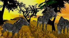 ZEBRA HUNTER